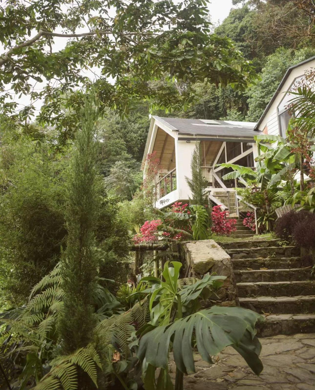 Minca Casa Las Nubes - Un Refugio Natural En La Sierra Nevada, Santa Marta, Col Экстерьер фото